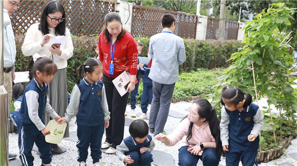 WDCM上传图片 WDCM上传图片