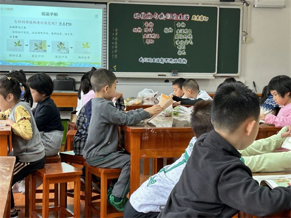 WDCM上传图片 WDCM上传图片