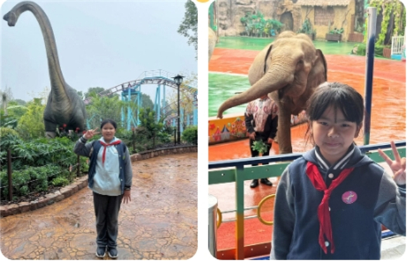 WDCM上传图片 WDCM上传图片