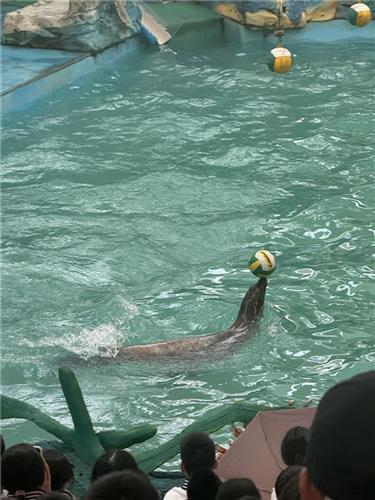 WDCM上传图片 WDCM上传图片