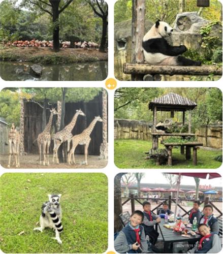 WDCM上传图片 WDCM上传图片