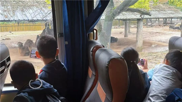 WDCM上传图片 WDCM上传图片