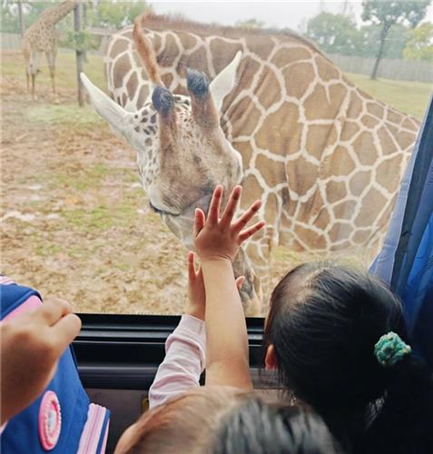 WDCM上传图片 WDCM上传图片