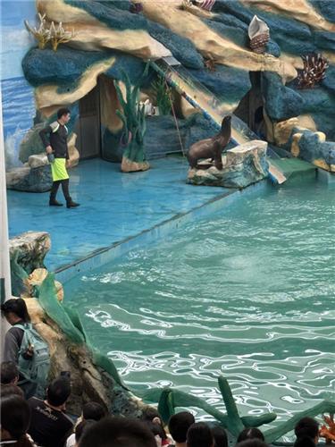 WDCM上传图片 WDCM上传图片