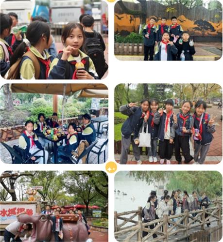 WDCM上传图片 WDCM上传图片