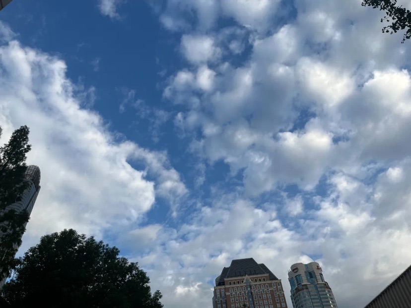 来日诰日最高将达19℃！但夜间冷潮带来“过山车”式年夜降温，请注重御寒