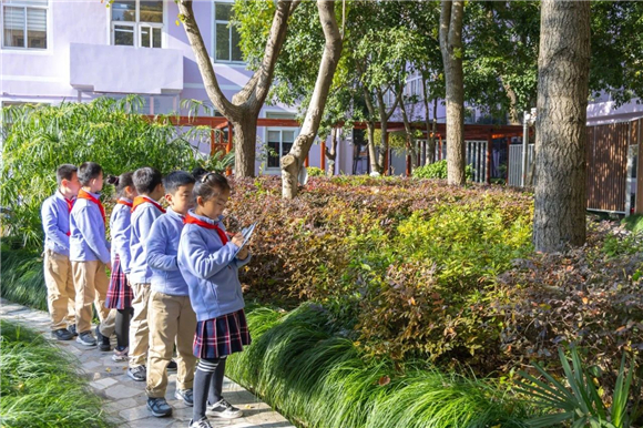 WDCM上传图片 WDCM上传图片