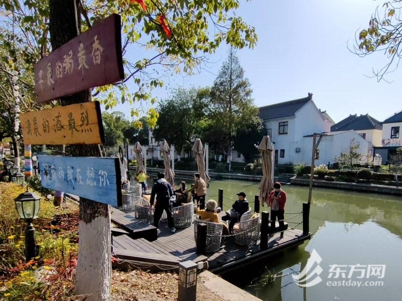 明星前脚“种草”，旅客后脚“差评”？面临流量，上海村干部担忧村落“火患上太快”：治理服务必定会跟上，请年夜家再给一点时间