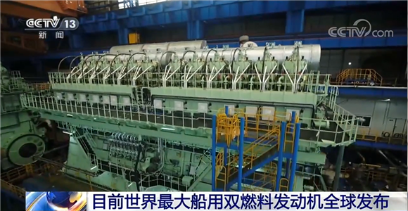 WDCM上传图片 WDCM上传图片