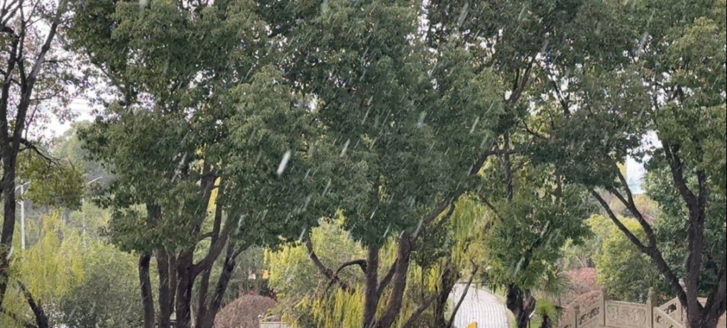 刚刚下的是冰雹、雪还是冰粒？上海气象局：浦东短时出现冰粒和霰粒子