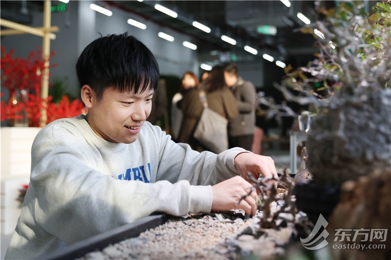 年宵花放置了吗？上海再添逛玩好去向：世博“新年花市”行将揭幕