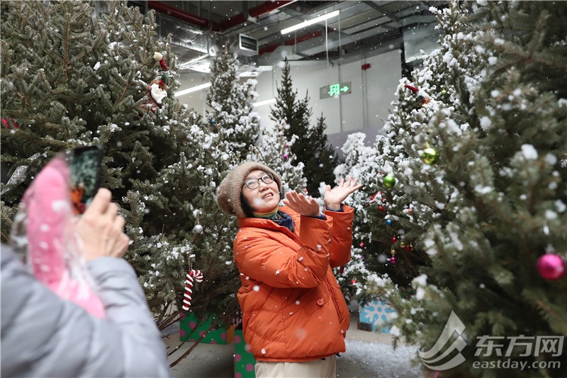 这里“局手下雪”啦！上海世博新年花市开放首日，年宵花“顶流”火爆售罄