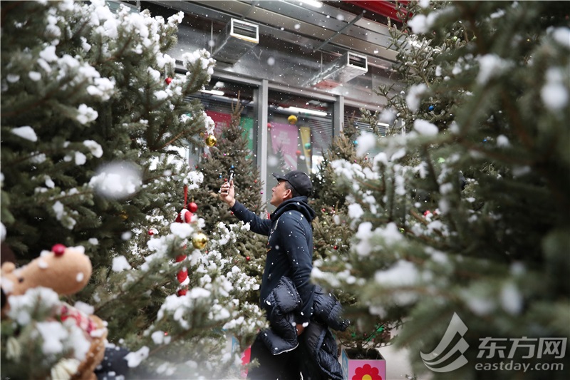 这里“局手下雪”啦！上海世博新年花市开放首日，年宵花“顶流”火爆售罄