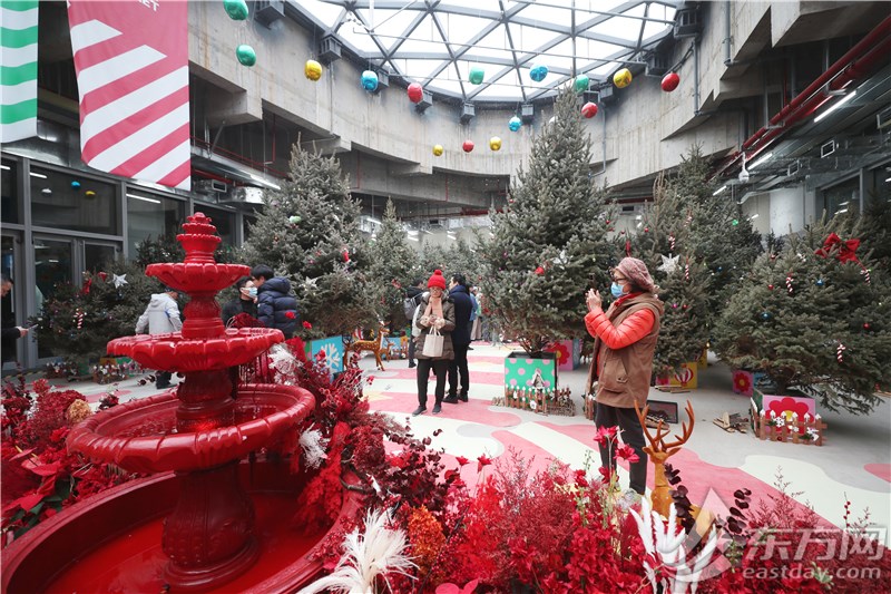 这里“局手下雪”啦！上海世博新年花市开放首日，年宵花“顶流”火爆售罄