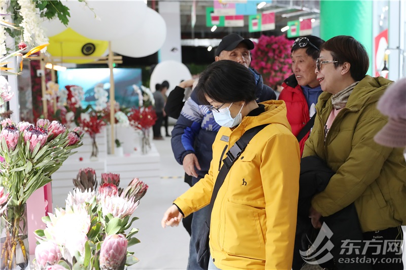 这里“局手下雪”啦！上海世博新年花市开放首日，年宵花“顶流”火爆售罄