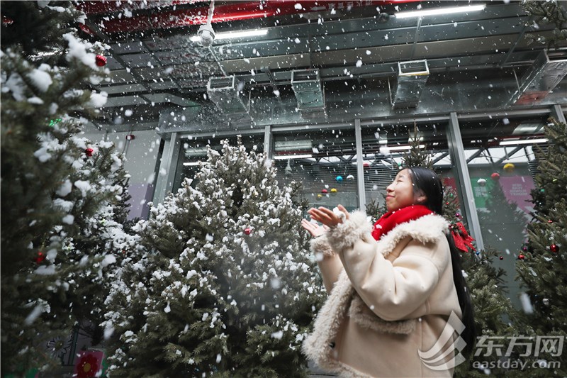 这里“局手下雪”啦！上海世博新年花市开放首日，年宵花“顶流”火爆售罄