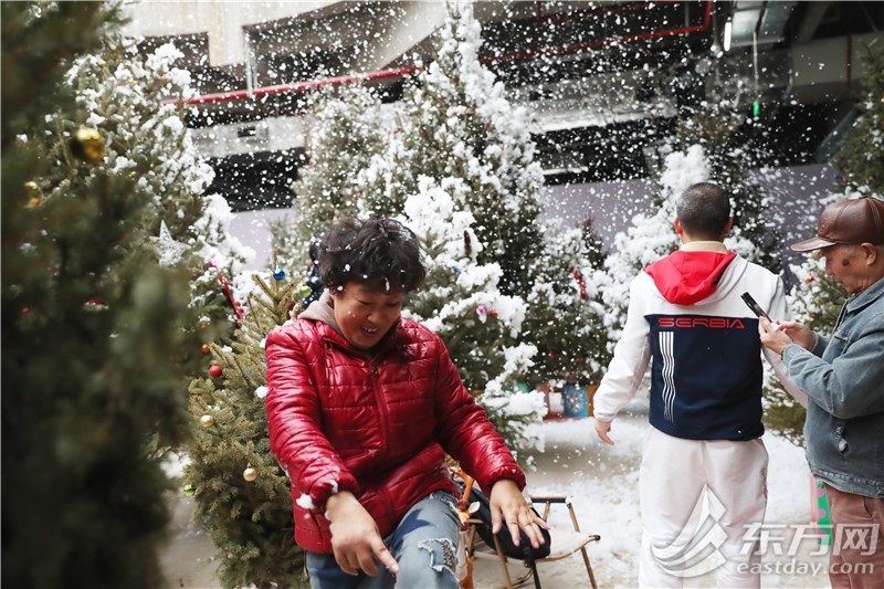 这里“局手下雪”啦！上海世博新年花市开放首日，年宵花“顶流”火爆售罄