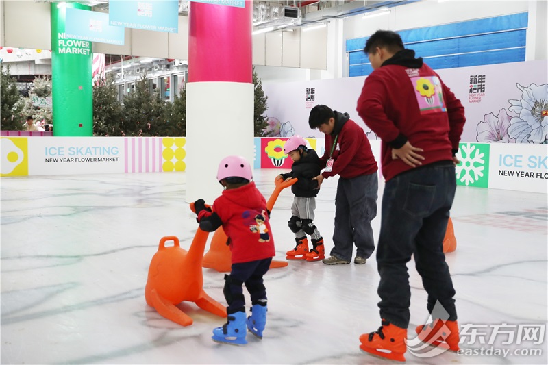 这里“局手下雪”啦！上海世博新年花市开放首日，年宵花“顶流”火爆售罄