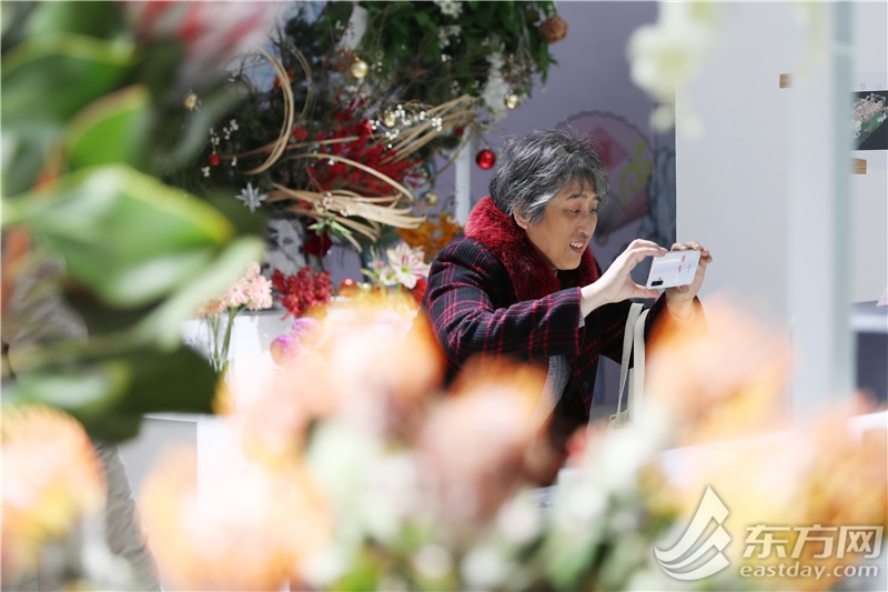 这里“局手下雪”啦！上海世博新年花市开放首日，年宵花“顶流”火爆售罄