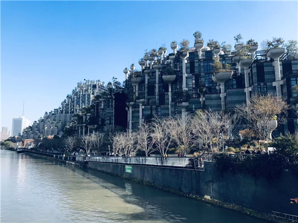 WDCM上传图片 WDCM上传图片