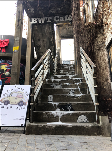 WDCM上传图片 WDCM上传图片