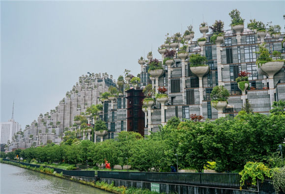 WDCM上传图片 WDCM上传图片