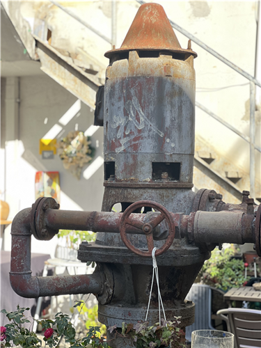 WDCM上传图片 WDCM上传图片