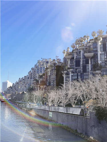 WDCM上传图片 WDCM上传图片