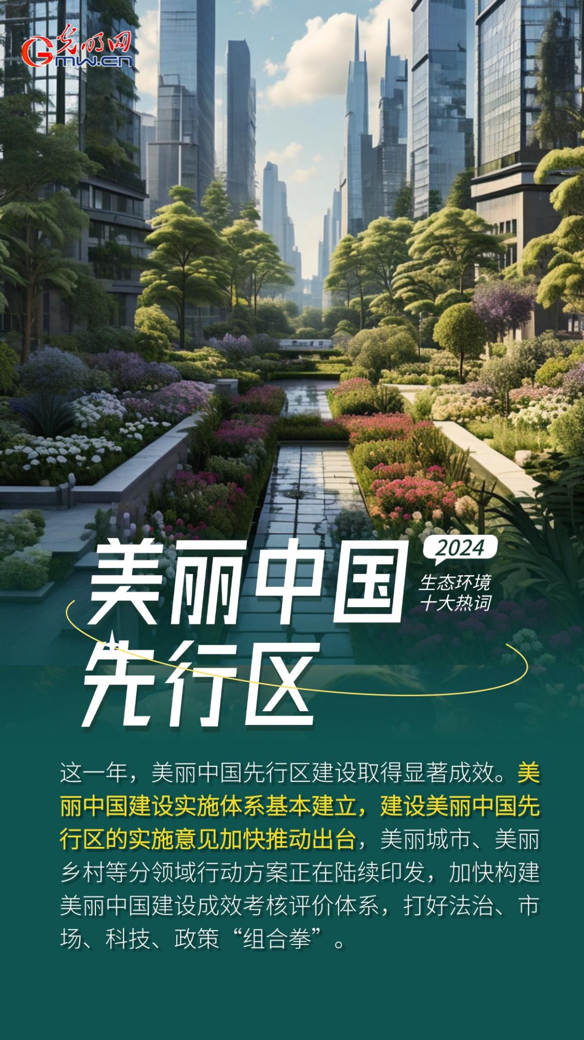 一组AI海报，盘点2024生态环境十大热词