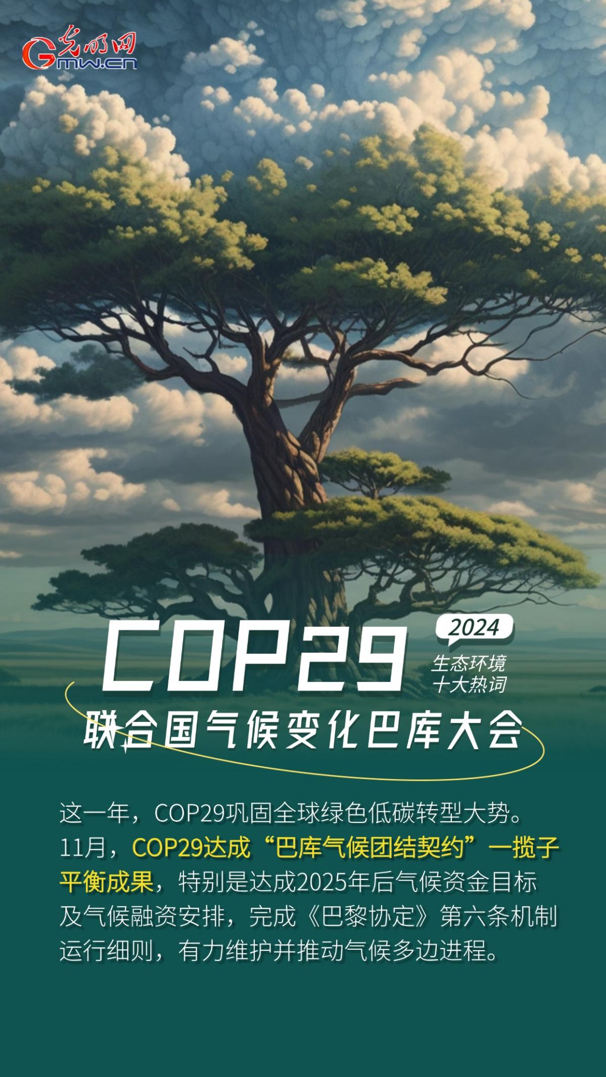 一组AI海报，盘点2024生态环境十大热词