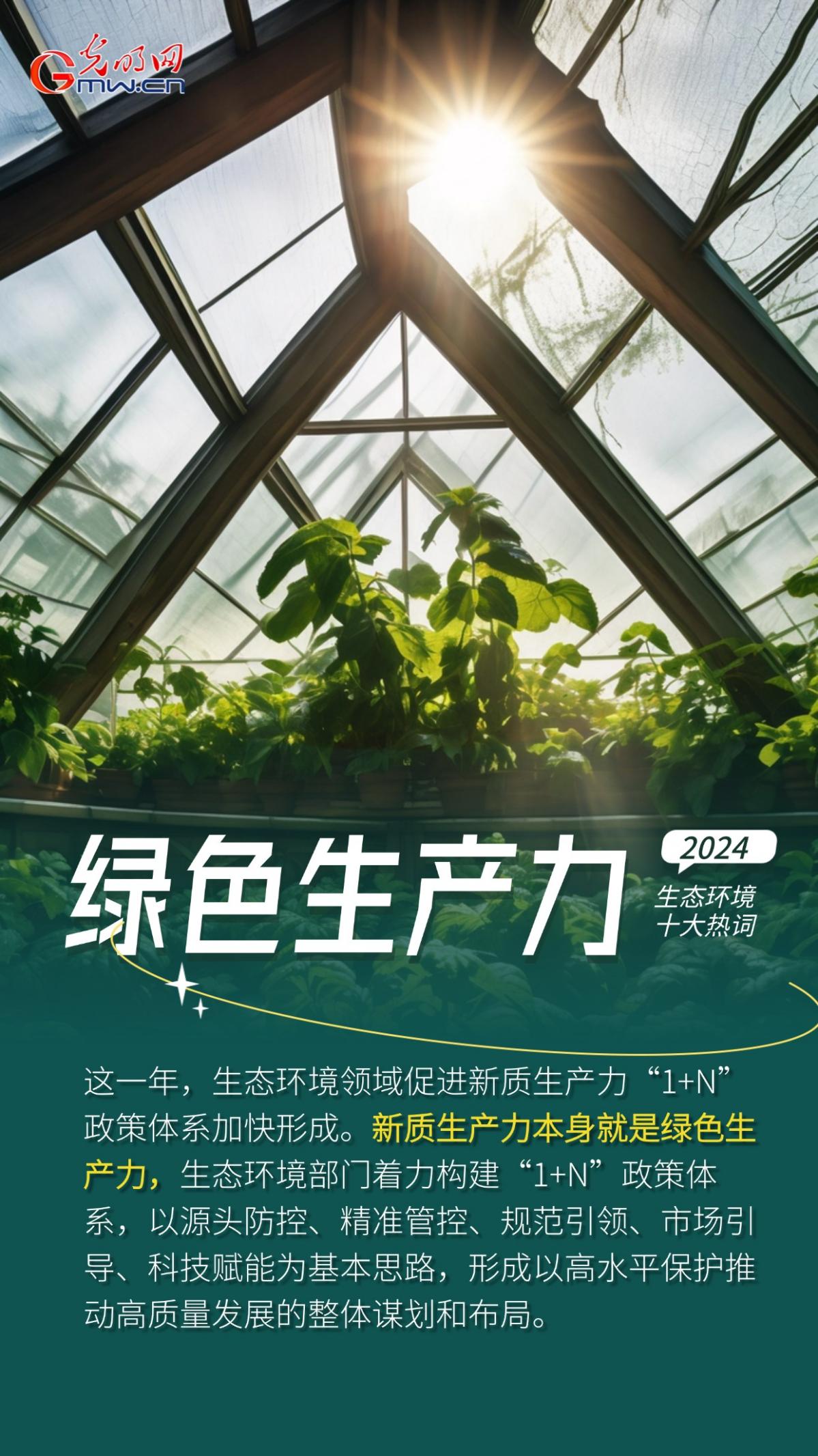 一组AI海报，盘点2024生态环境十大热词