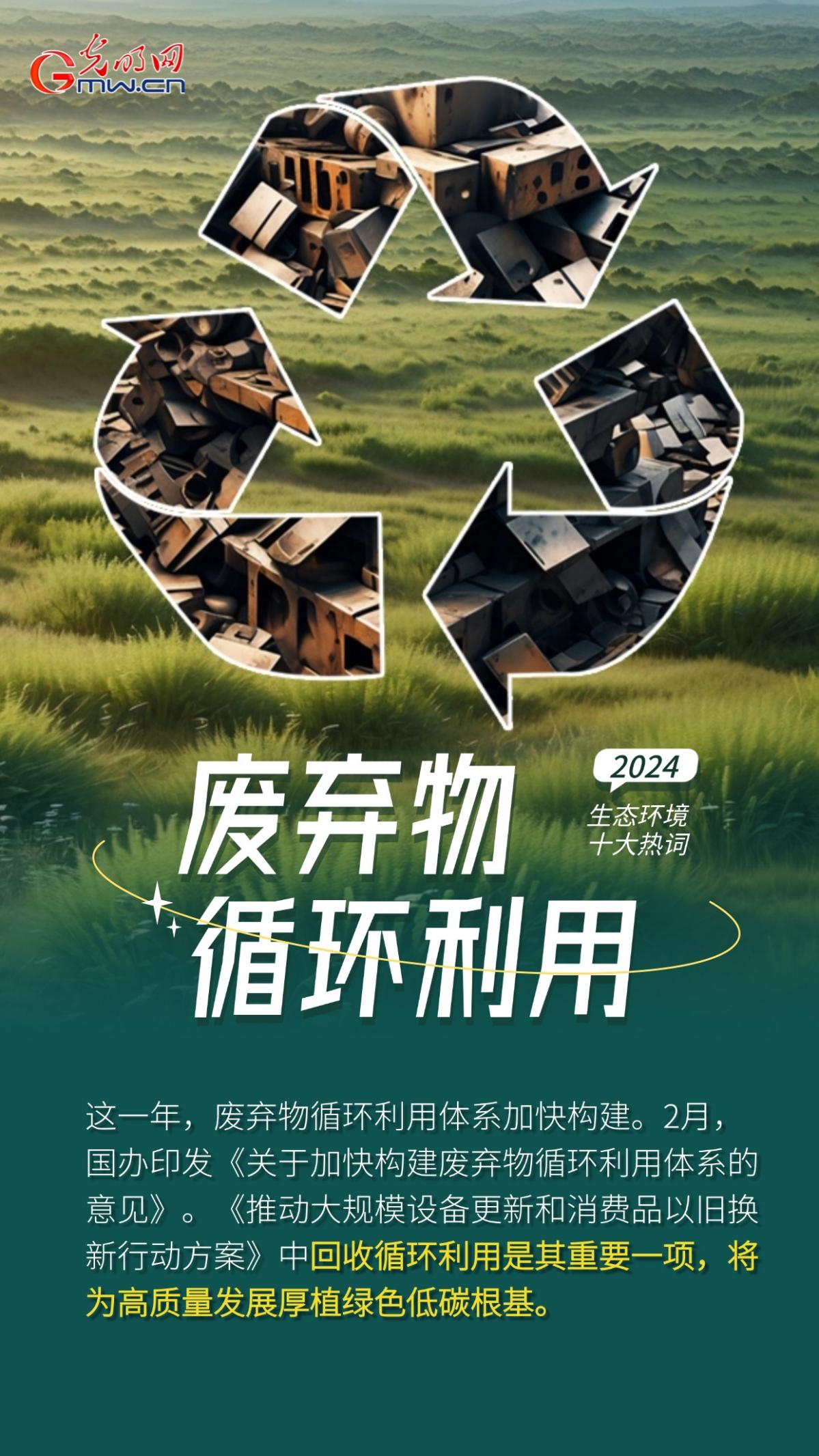 一组AI海报，盘点2024生态环境十大热词