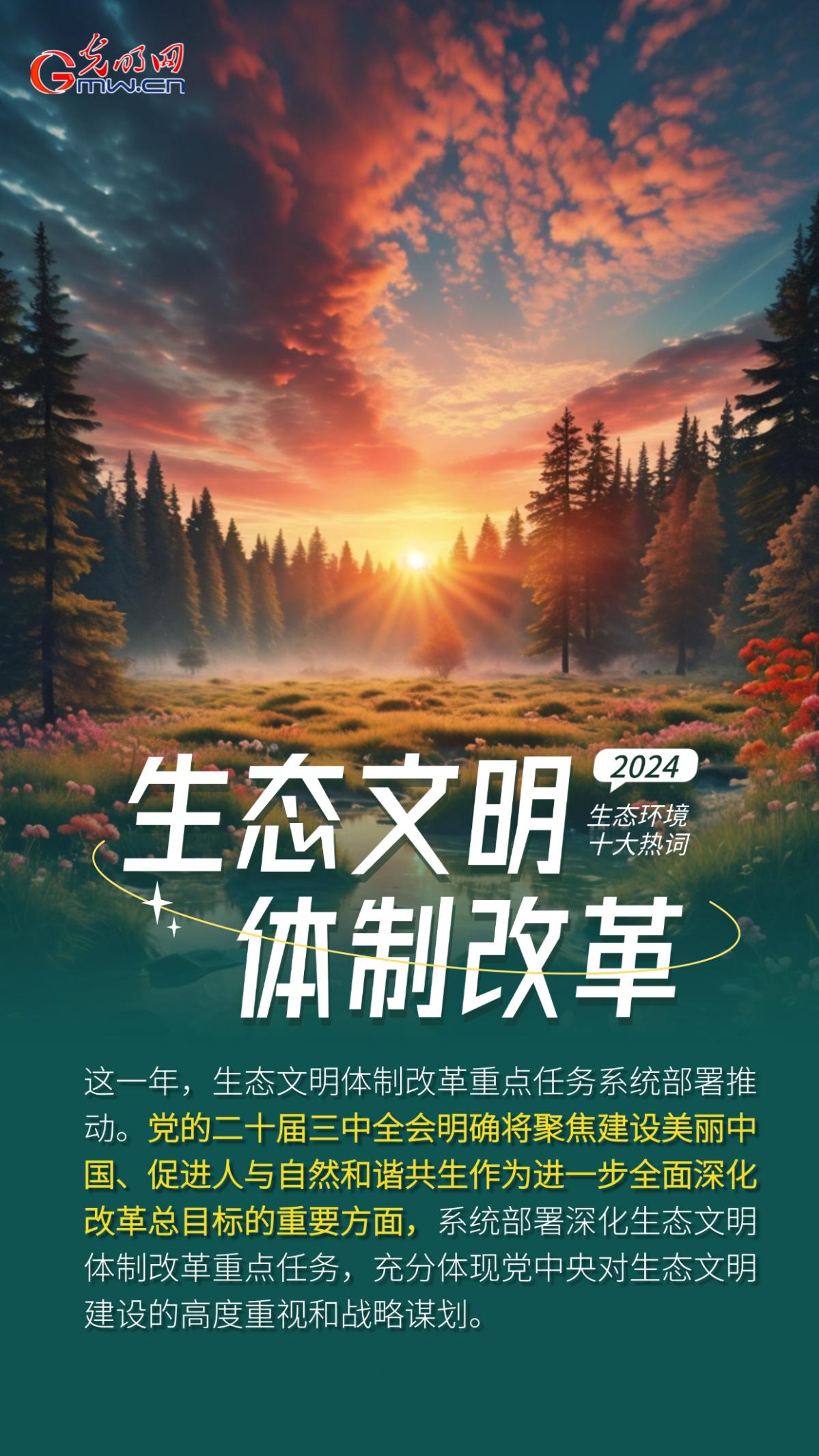 一组AI海报，盘点2024生态环境十大热词