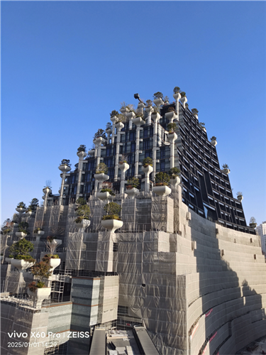 WDCM上传图片 WDCM上传图片