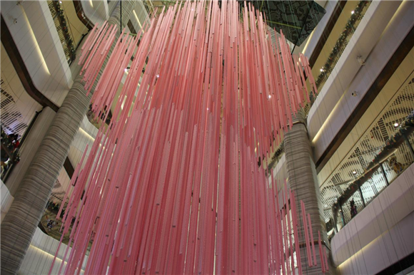 WDCM上传图片 WDCM上传图片