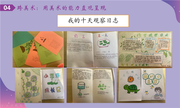 WDCM上传图片 WDCM上传图片