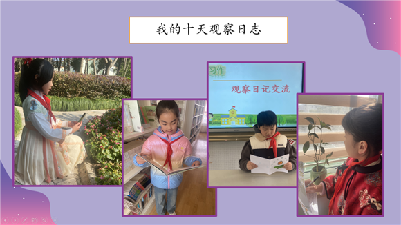 WDCM上传图片 WDCM上传图片