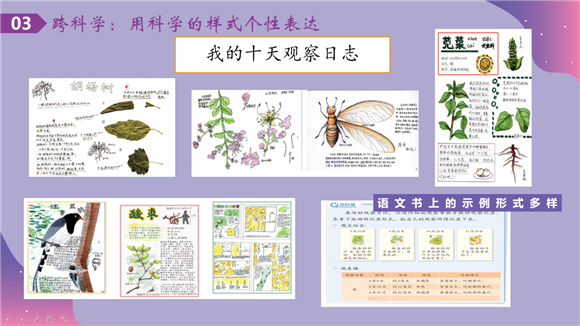 WDCM上传图片 WDCM上传图片