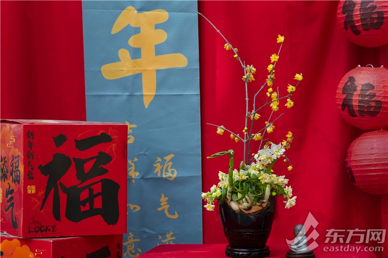 2025新春市平易近水仙花铺1月18日揭幕，一块儿先睹为快