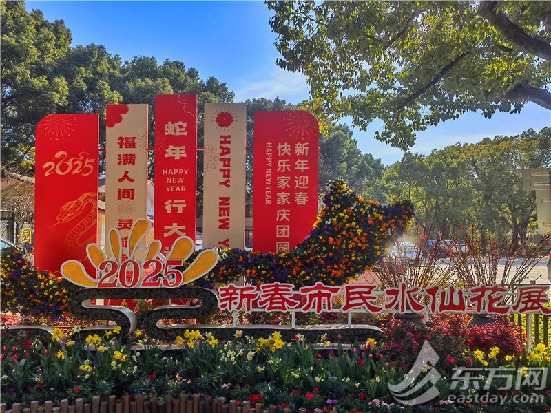 2025新春市平易近水仙花铺1月18日揭幕，一块儿先睹为快