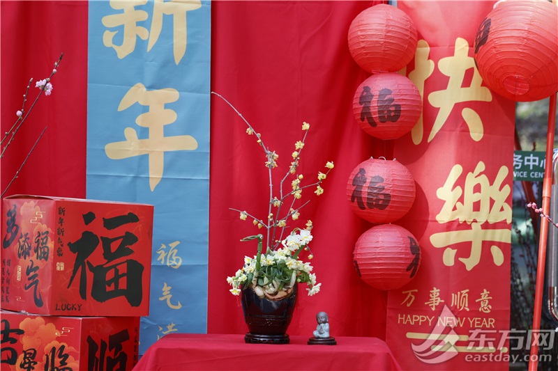 2025新春市平易近水仙花铺1月18日揭幕，一块儿先睹为快