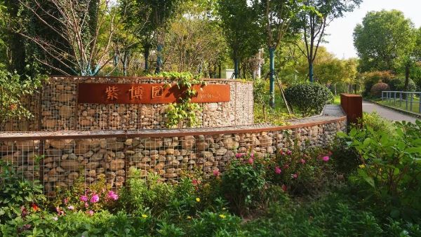 0206_103826600_937.jpg 2.jpg