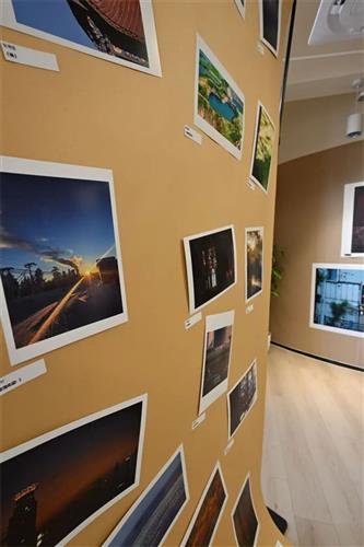 WDCM上传图片 WDCM上传图片