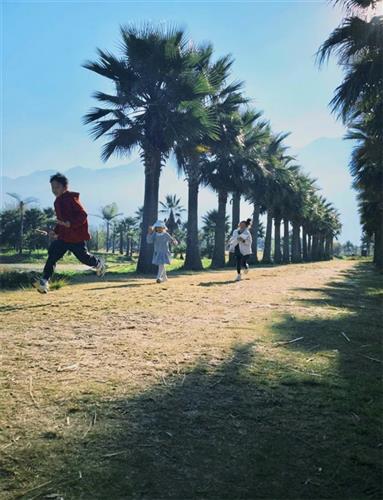 WDCM上传图片 WDCM上传图片