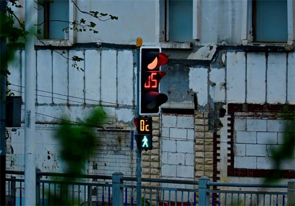 WDCM上传图片 WDCM上传图片