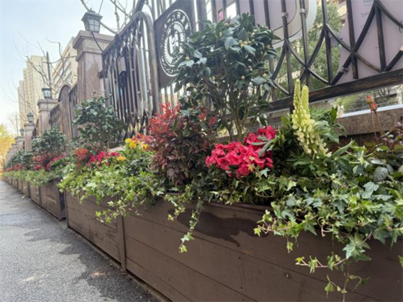 WDCM上传图片 WDCM上传图片