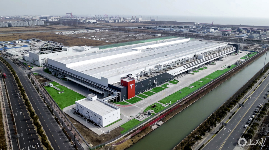 解放日报 孟雨涵 摄20250220_5