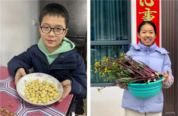 WDCM上传图片 WDCM上传图片