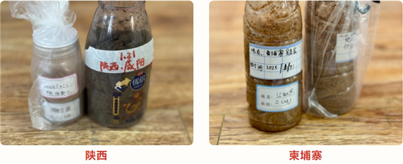 WDCM上传图片 WDCM上传图片