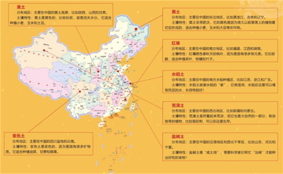 WDCM上传图片 WDCM上传图片